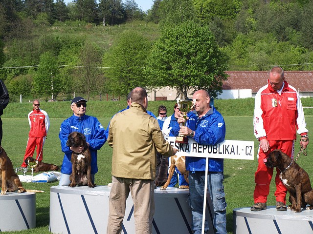 www.atibox.net * www.euroboxer.eu * www.boxergenealogia.eu